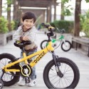 Mua xe đạp nào tốt cho bé sử dụng hiện nay?